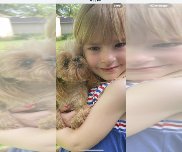 Medium Photo #3  Breeder Profile in FREEBURG, IL, USA