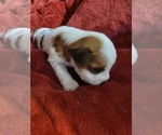 Small #109 Breeder Profile image