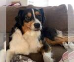 Small #9 Breeder Profile image
