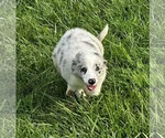 Small #3 Breeder Profile image