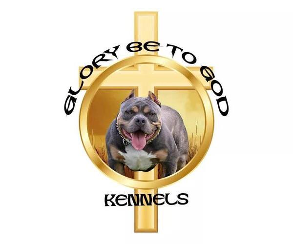 Medium Photo #1  Breeder Profile in BILLINGS, MO, USA