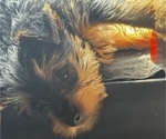 Small #12 Breeder Profile image