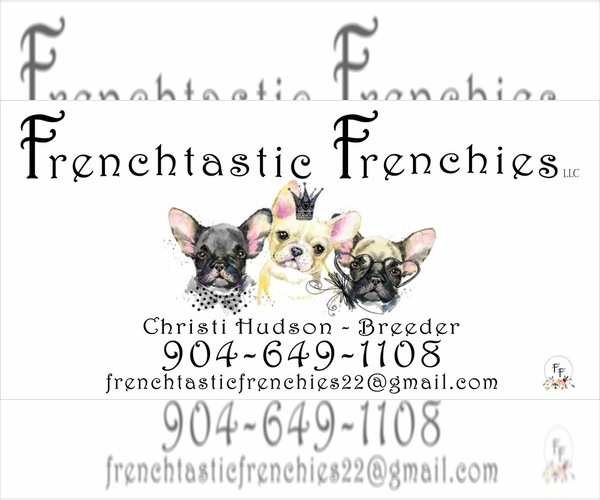 Medium Photo #1  Breeder Profile in KEYSTONE HEIGHTS, FL, USA