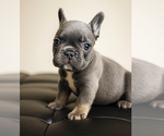 Small #4 Breeder Profile image