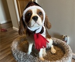 Small #5 Breeder Profile image