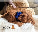 Small #111 Breeder Profile image
