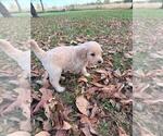 Small #24 Breeder Profile image
