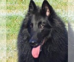 Small #6 Breeder Profile image