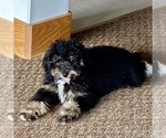 Small #7 Breeder Profile image