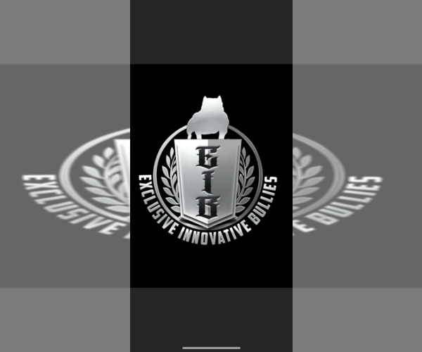 Medium Photo #1  Breeder Profile in BAKERSFIELD, CA, USA