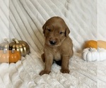 Small #7 Breeder Profile image