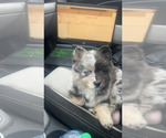 Small #15 Breeder Profile image