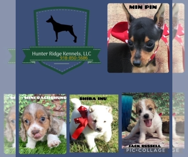 Medium Photo #2  Breeder Profile in CLAREMORE, OK, USA