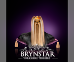 Small #7 Breeder Profile image