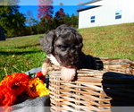 Small #8 Breeder Profile image