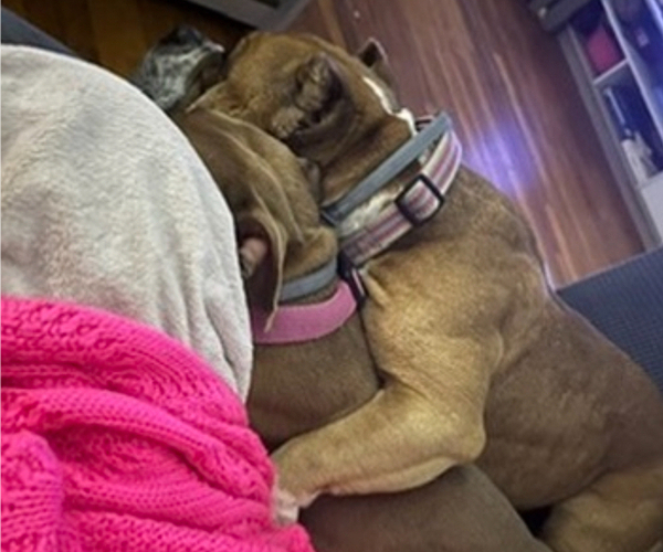 Medium Photo #2  Breeder Profile in NEW BEDFORD, MA, USA