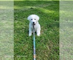 Small #6 Breeder Profile image