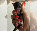 Small #6 Breeder Profile image