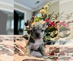 Small #4 Breeder Profile image