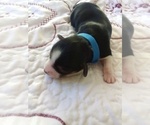 Small #4 Breeder Profile image