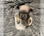 Small #1 Breeder Profile image