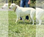 Small #10 Breeder Profile image