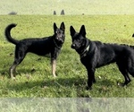Small #3 Breeder Profile image