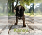 Small #6 Breeder Profile image