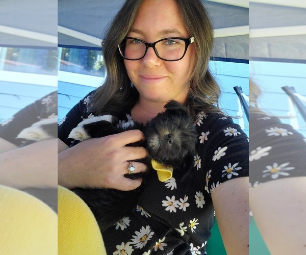 Medium Photo #1  Breeder Profile in PROVO, UT, USA