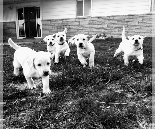 Medium Photo #1  Breeder Profile in CALDWELL, ID, USA