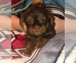Small #29 Breeder Profile image
