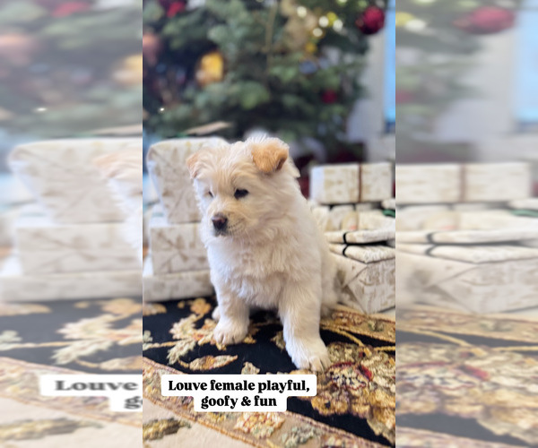 Medium Photo #3  Breeder Profile in SAINT GEORGE, UT, USA