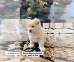 Small #2 Breeder Profile image