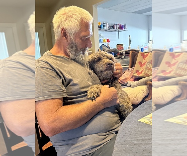 Medium Photo #20  Breeder Profile in DEER PARK, WA, USA