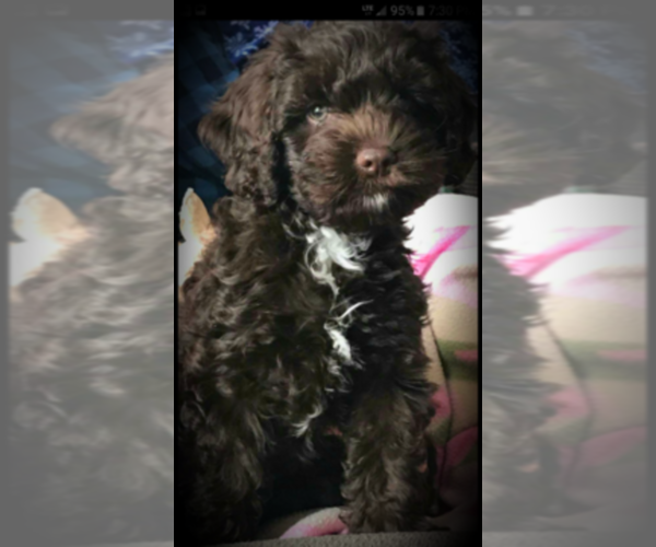 Medium Photo #1  Breeder Profile in CLEVELAND, ND, USA