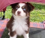 Small #26 Breeder Profile image