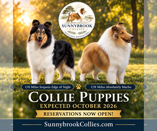 Medium Photo #1  Breeder Profile in POMONA PARK, FL, USA