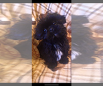 Small #14 Breeder Profile image
