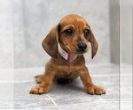 Small #24 Breeder Profile image