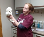 Small #3 Breeder Profile image