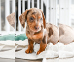 Small #18 Breeder Profile image