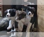 Small #9 Breeder Profile image