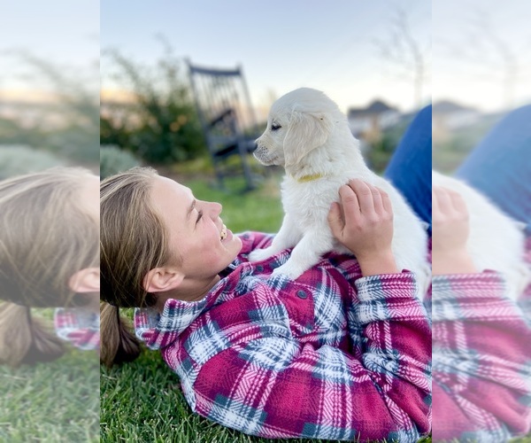 Medium Photo #6  Breeder Profile in PAYSON, UT, USA