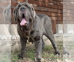 Small #29 Breeder Profile image