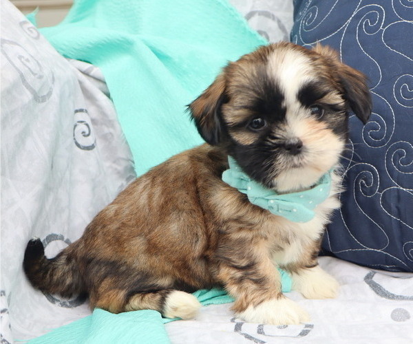 Medium Photo #38  Breeder Profile in THORP, WI, USA