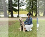 Small #11 Breeder Profile image