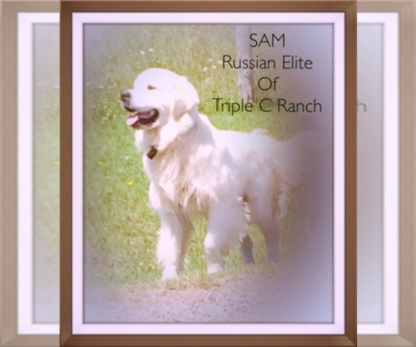 Medium Photo #1  Breeder Profile in MARENGO, WI, USA