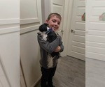 Small #9 Breeder Profile image