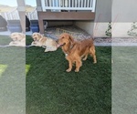 Small #10 Breeder Profile image