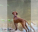 Small #4 Breeder Profile image